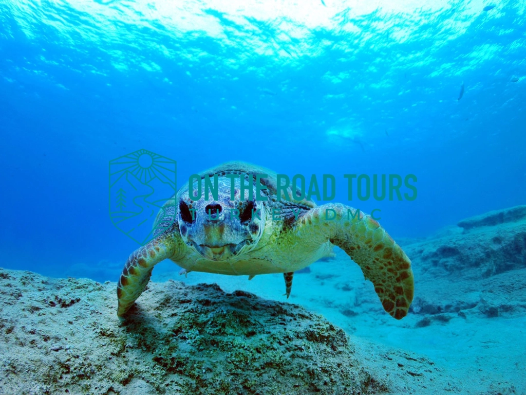 The Ultimate Turkish Journey: From Istanbul to the Turquoise Coast